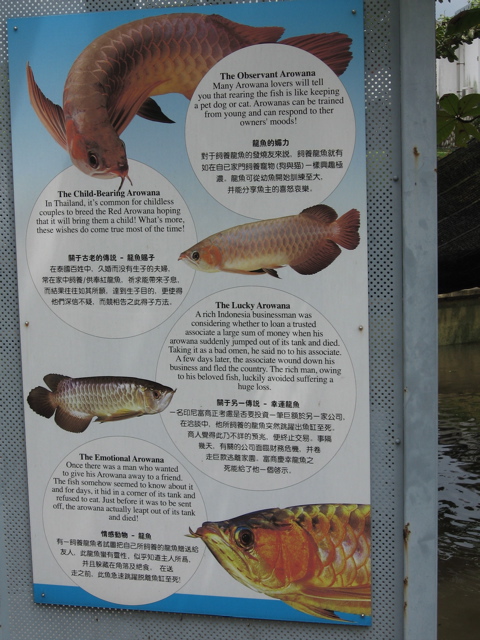 Arowana plaque