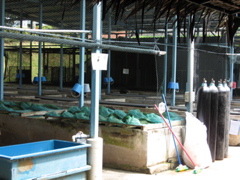 quarantine ponds