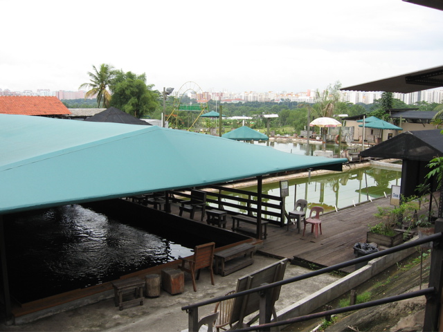 Fish Ponds 1