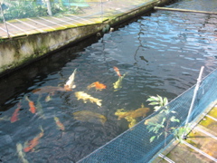 IMG_0860.JPG