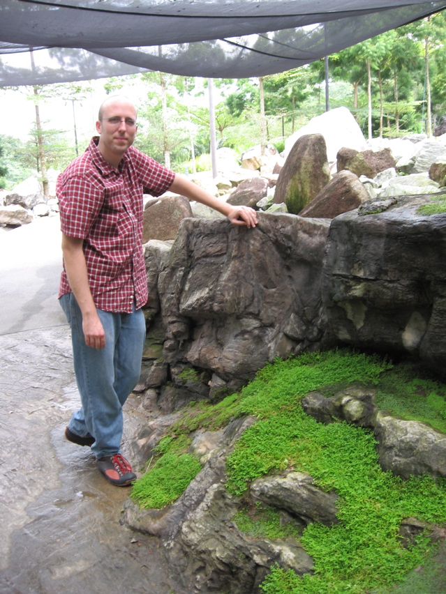 Liverworts